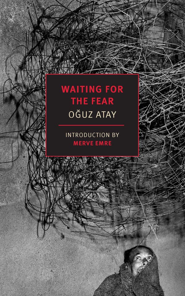 WAITING FOR THE FEAR by Oguz Atay, translated by Ralph Hubbell. Book cover is a black and white photograph of a man standing under an enormous spherical group of sticks--maybe a bird's nest or a sculpture. There is bright flight that casts abstract black shadows around the image. 